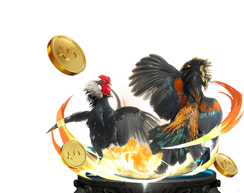 Đá gà trực tuyến tại Sodo369